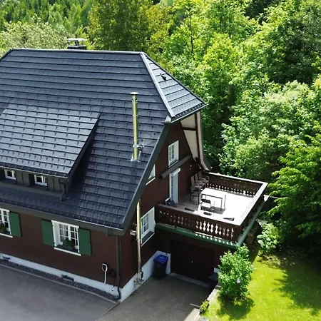 Schwarzwaldhaus St Blasien, Direkt Am Bach Дом отдыха Санкт-Блазиен