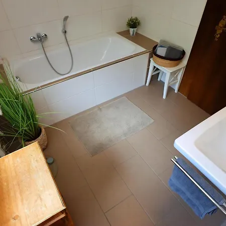 Schwarzwaldhaus St Blasien, Direkt Am Bach Дом отдыха Санкт-Блазиен