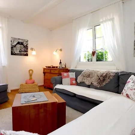 Schwarzwaldhaus St, Blasien, Direkt Am Bach 度假居